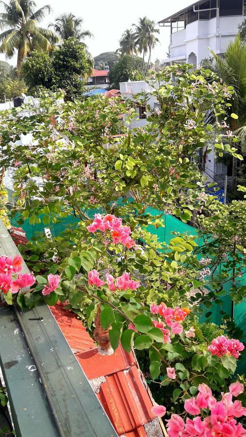 Heavenly Homestay Коччи Экстерьер фото