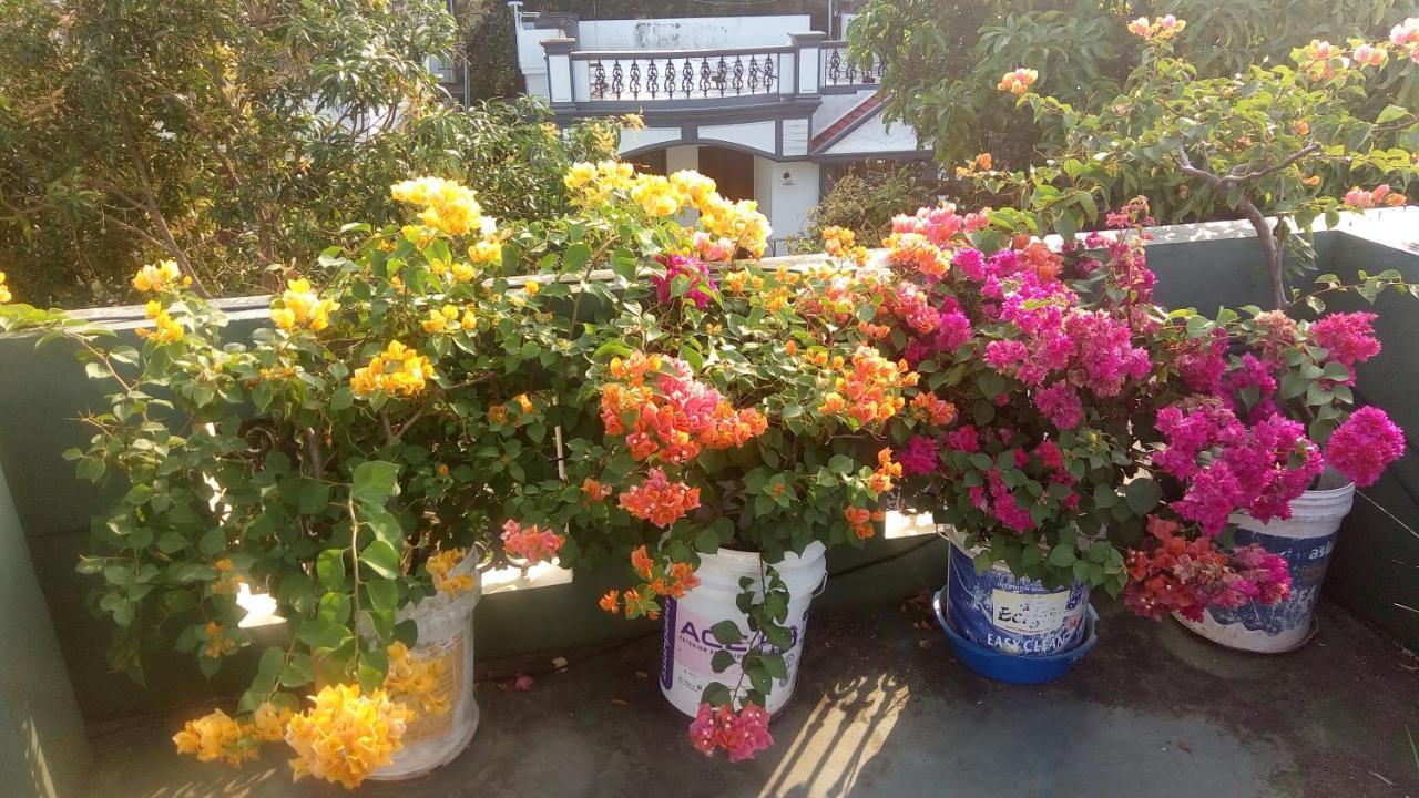 Heavenly Homestay Коччи Экстерьер фото